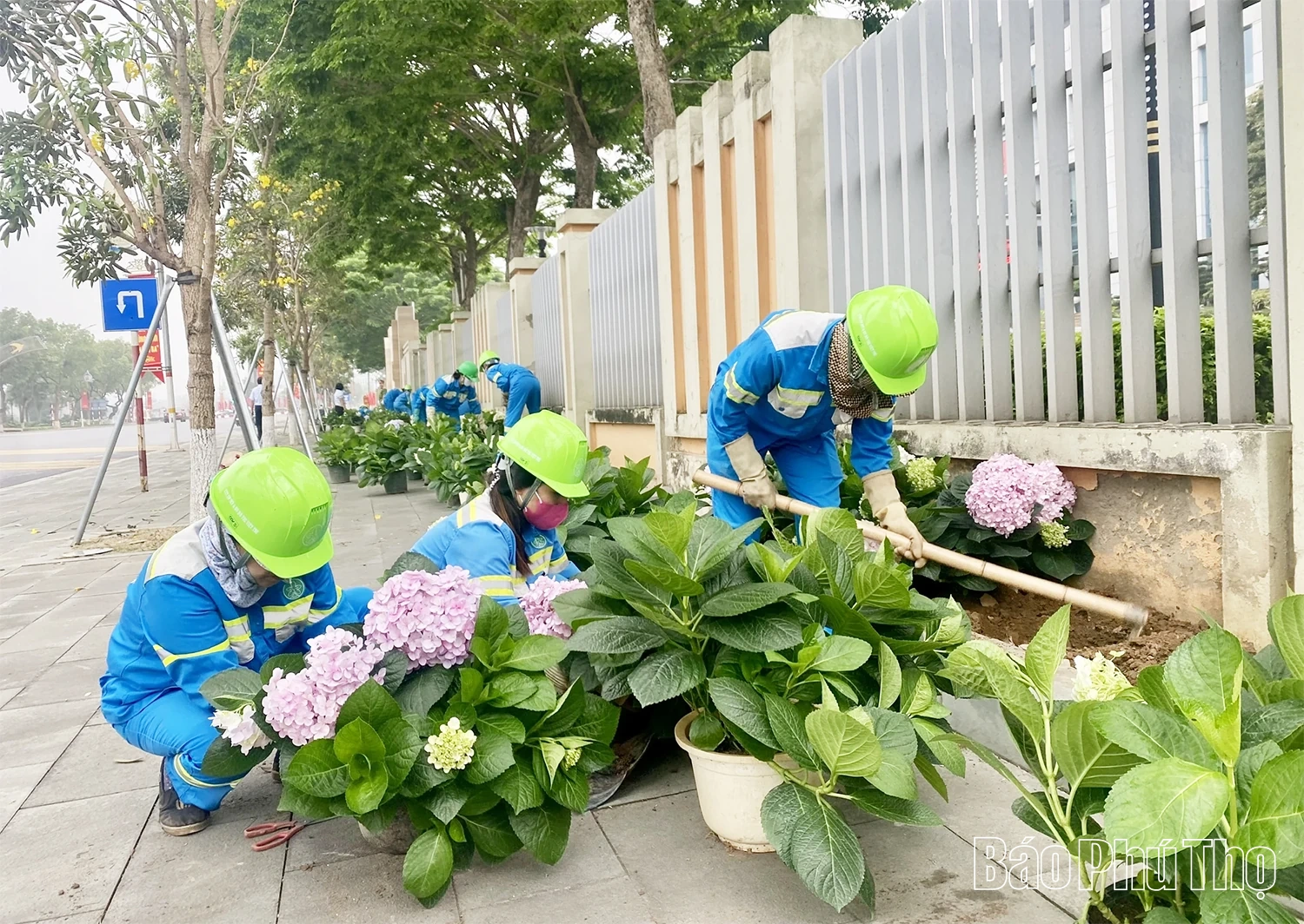 Đảng bộ Công ty Cổ phần Môi trường và Dịch vụ đô thị Việt Trì: Gắn lãnh đạo với xây dựng đô thị xanh, sạch, văn minh