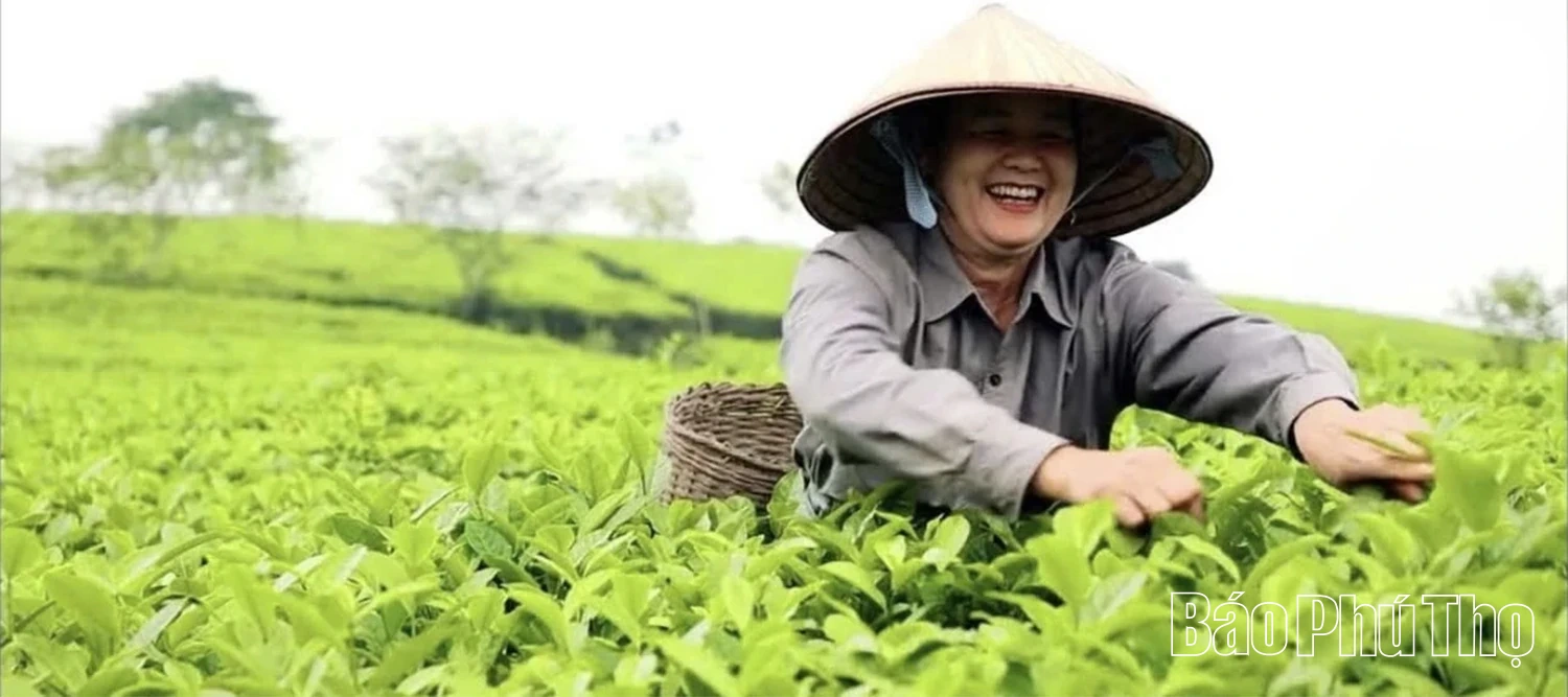 Trạm Thản sẵn sàng cho Đại hội Đảng bộ nhiệm kỳ 2025-2030