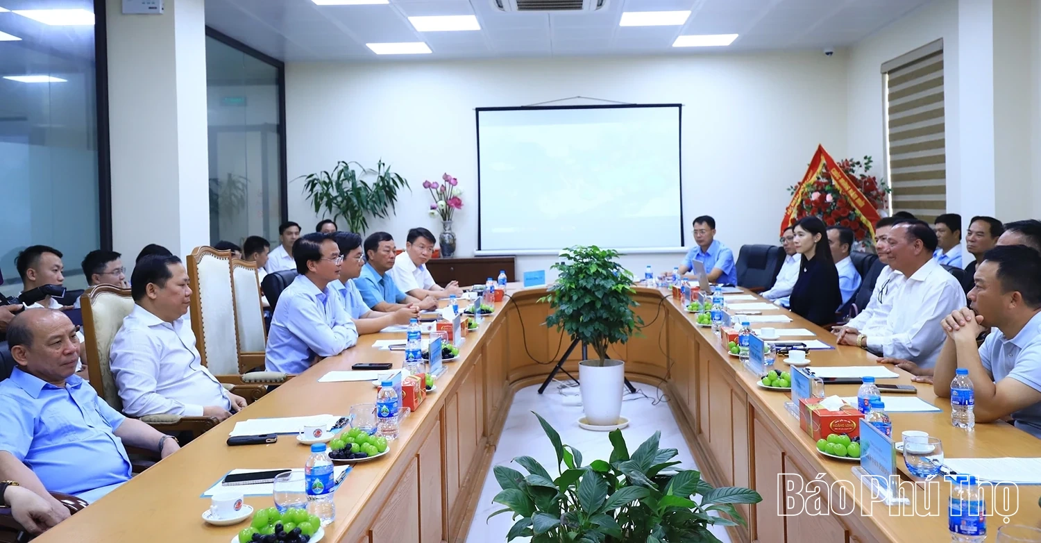 Thường trực Tỉnh ủy kiểm tra tiến độ triển khai thực hiện các dự án trọng điểm tại khu vực Hòa Bình (cũ)