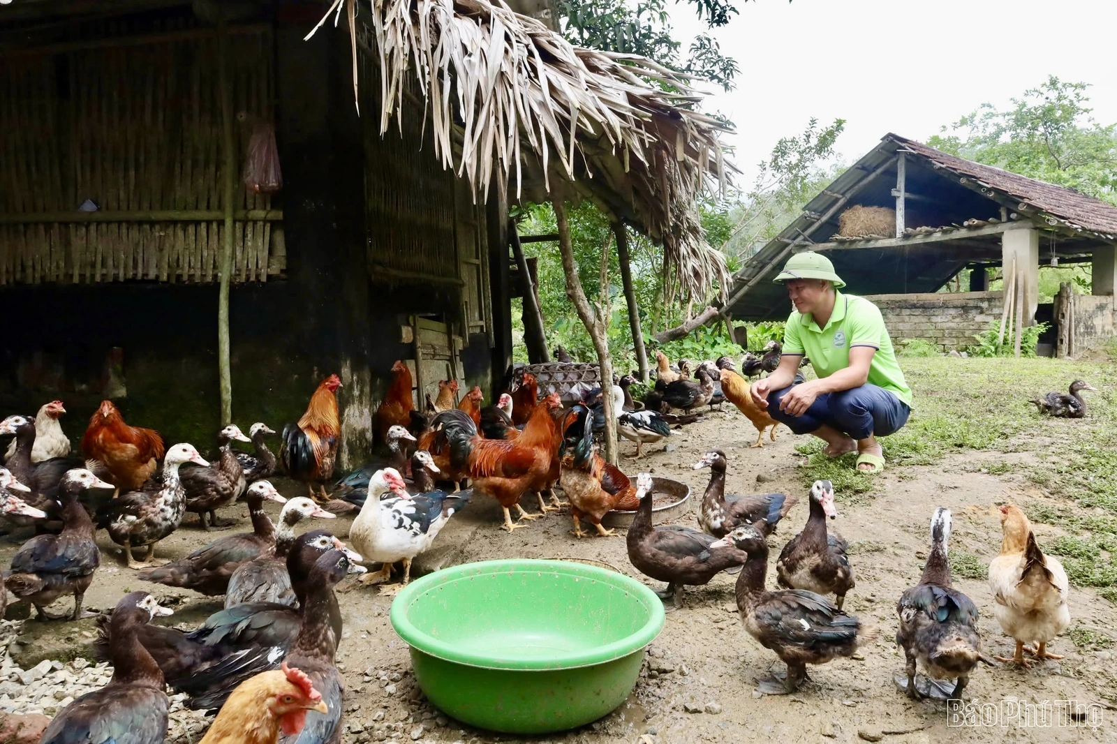 Phát triển nông sản bản địa, hướng đi mới ở Sơn Lương