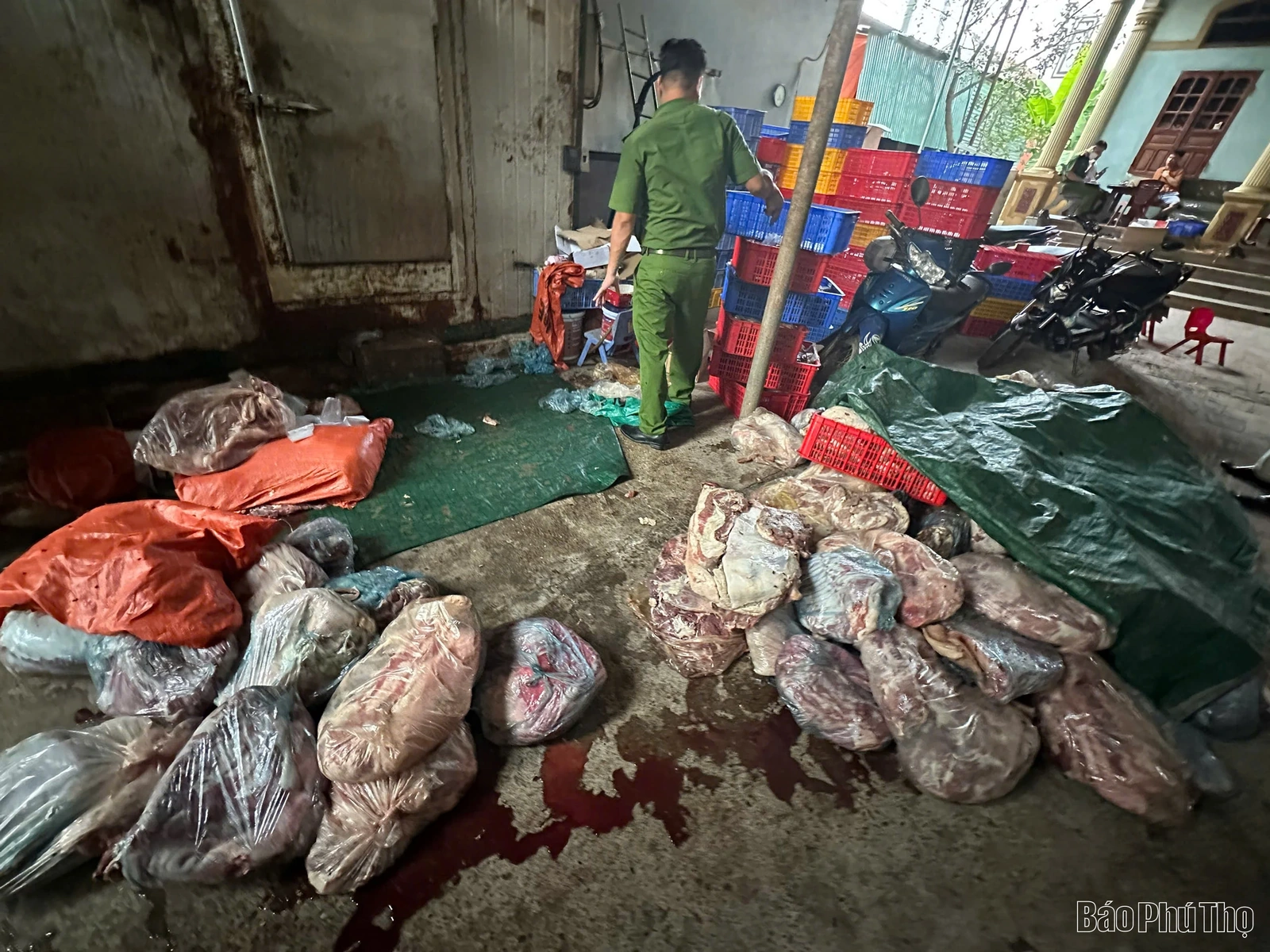 Phát hiện gần 5 tấn thịt lợn bốc mùi, không rõ nguồn gốc