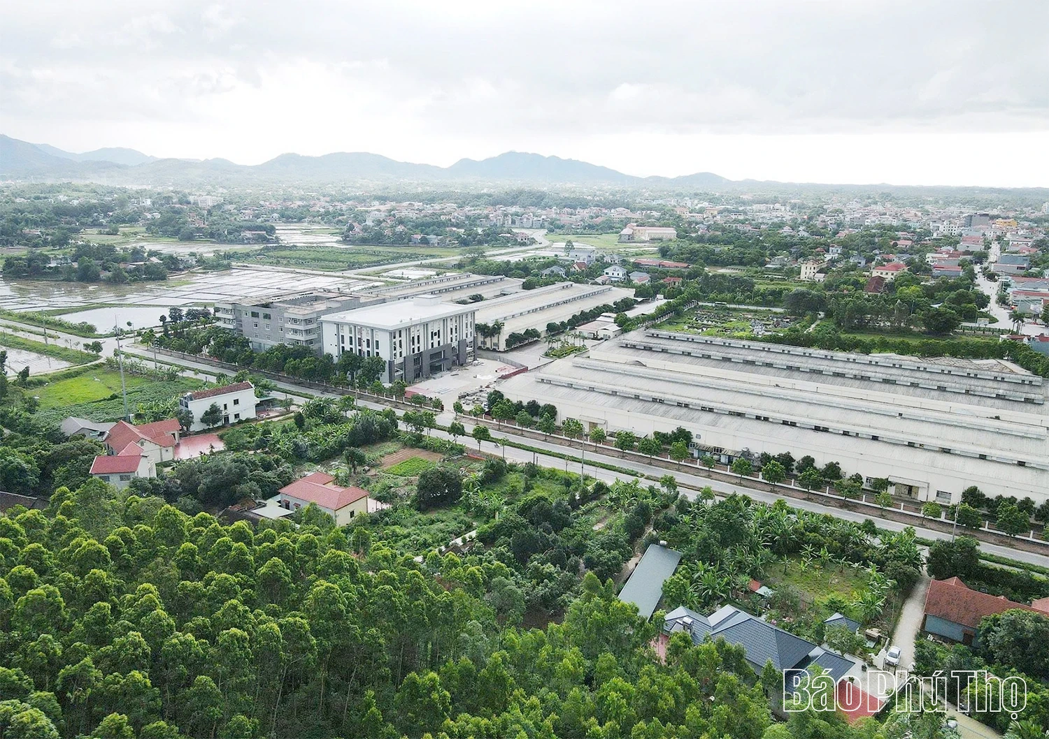 Vững bước sau sáp nhập, hướng tới phát triển toàn diện và bền vững