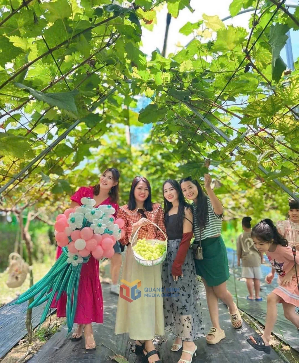 Người tiên phong đưa giống cây “quý tộc” về Bình Liêu