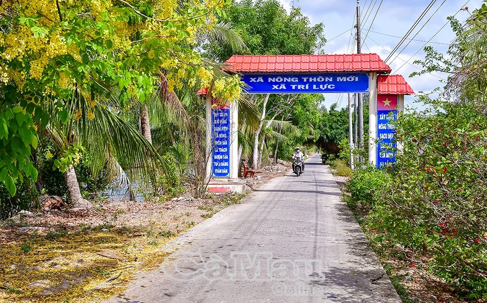 Vị ngọt từ sự đổi thay