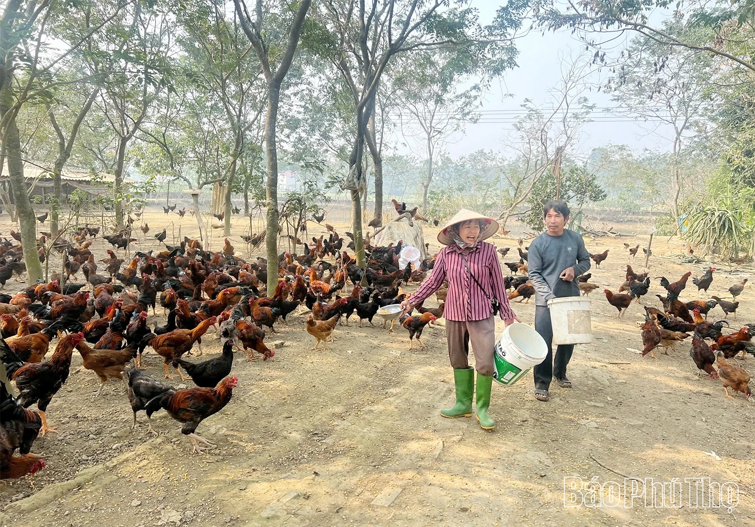 Đảng bộ xã Bình Phú phát huy vai trò lãnh đạo, tạo đà phát triển bền vững