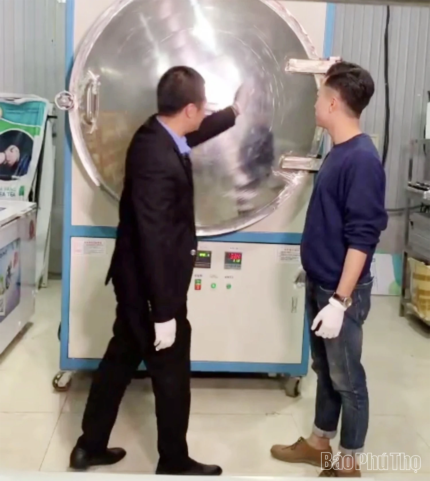 Trà hoa vàng Tam Đảo - sản phẩm dược liệu uy tín cho thu nhập cao