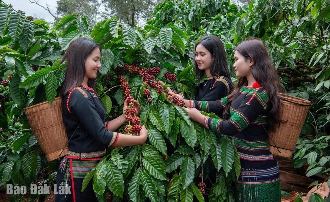 Khai phá tiềm năng phát triển du lịch canh nông