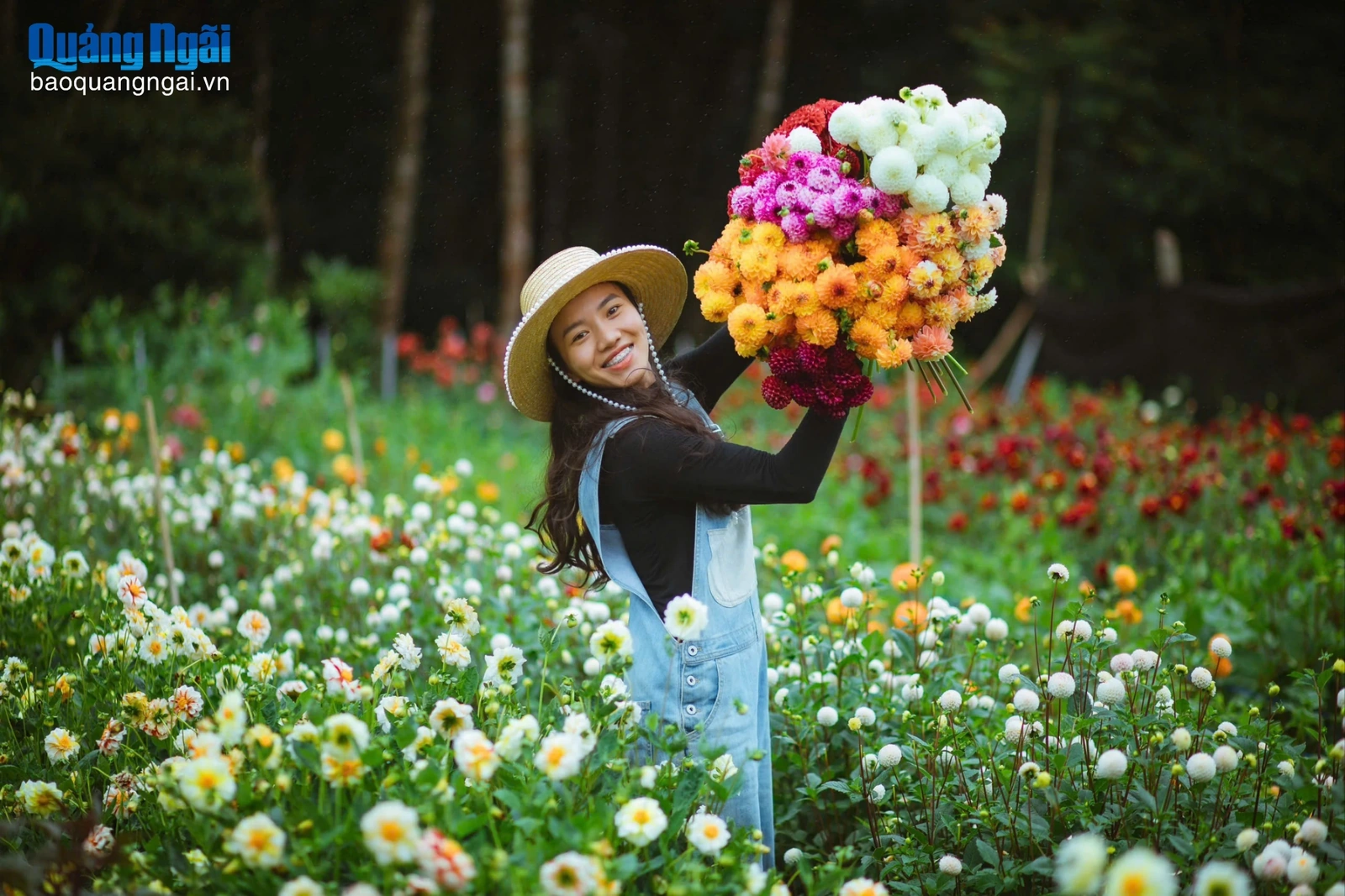 Vườn hoa thược dược đẹp như cổ tích ở Măng Đen