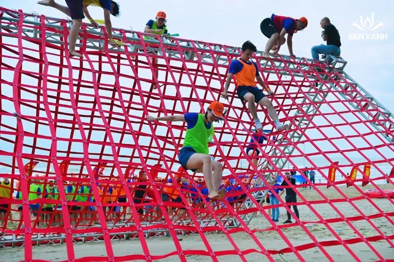 Công ty tổ chức team building – Giải pháp nâng cao hiệu suất và gắn kết nội bộ thời đại mới