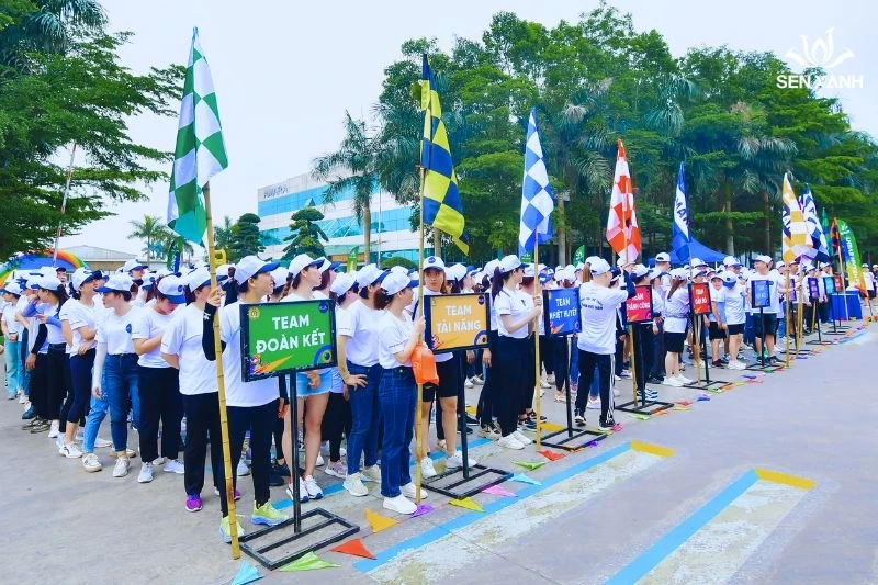 Công ty tổ chức team building – Giải pháp nâng cao hiệu suất và gắn kết nội bộ thời đại mới