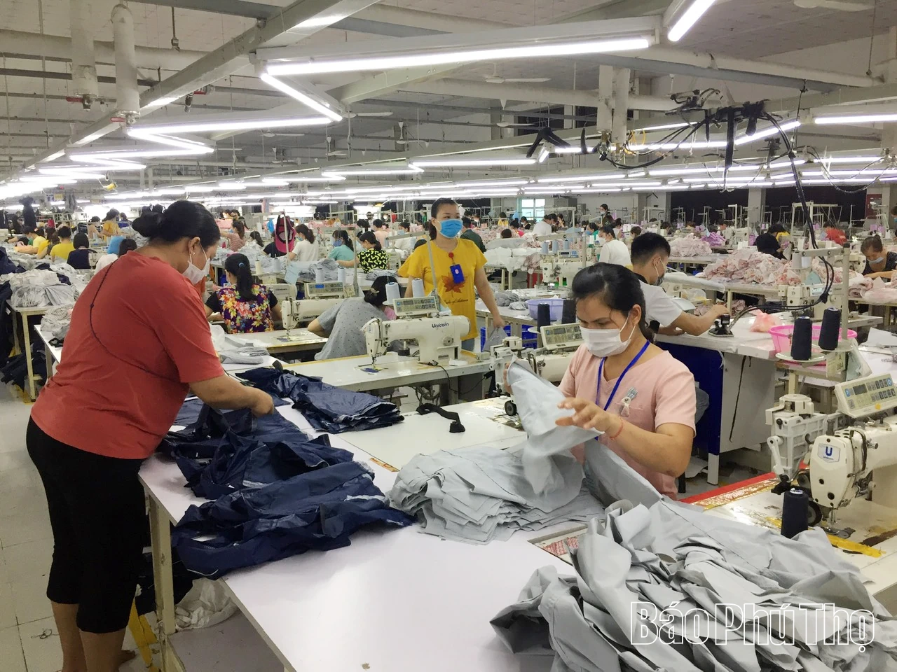 Giả danh cơ quan BHXH để lừa đảo - thủ đoạn cũ nhưng ngày càng tinh vi