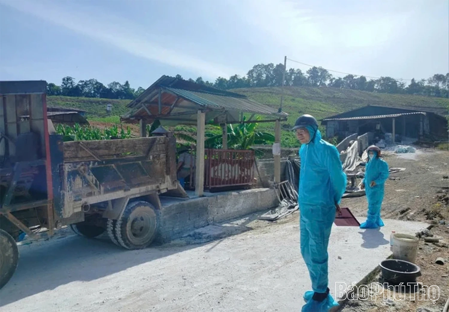 Dịch tả lợn châu Phi: Nỗ lực dập dịch nhưng vẫn gian nan