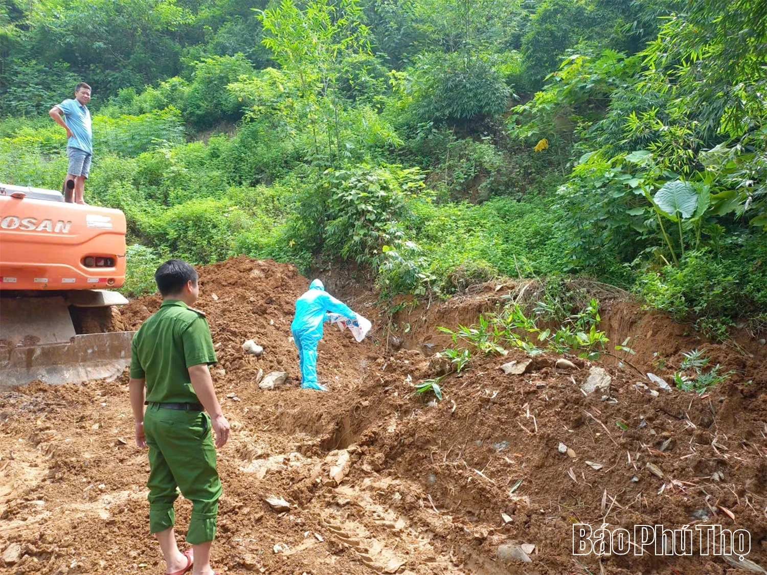 Dịch tả lợn châu Phi: Nỗ lực dập dịch nhưng vẫn gian nan