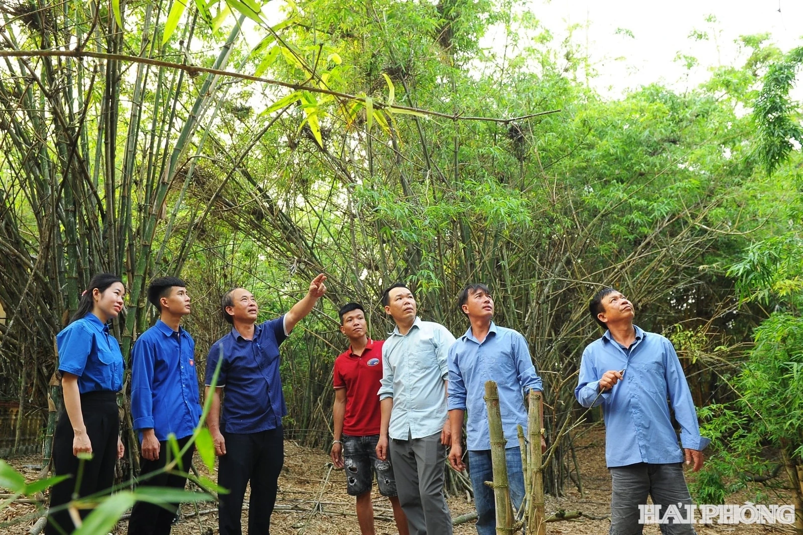 Diện mạo mới ở Đảo Cò Nam Thanh Miện