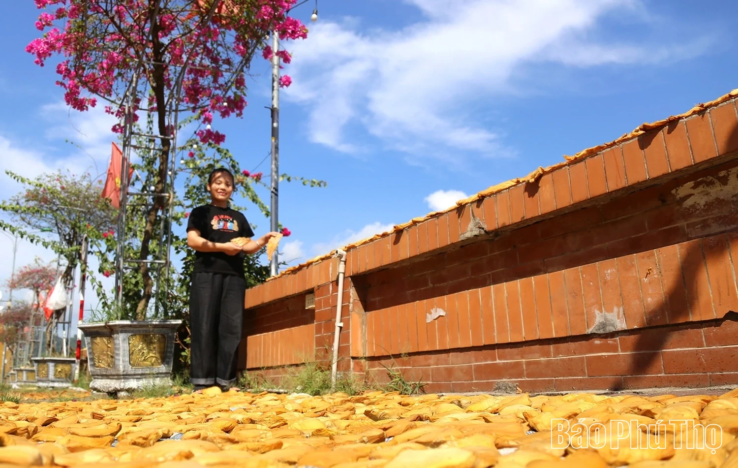 Măng khô Hòa Bình - Chắt chiu vị nắng, gói trọn hương rừng