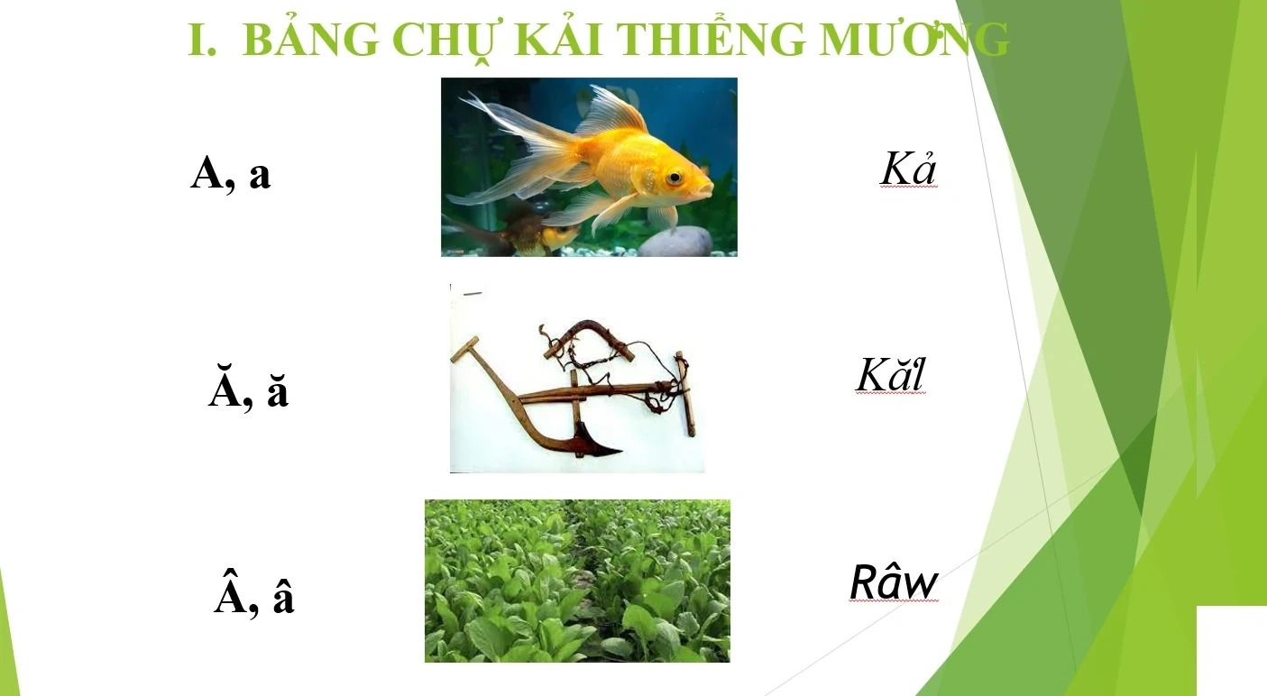 Preserving and Promoting the Language and Script of the Muong Ethnic Group
