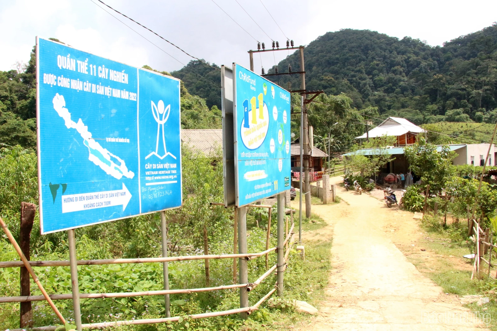 “Linh khí” nghìn năm giữa đại ngàn Bo Trẳm