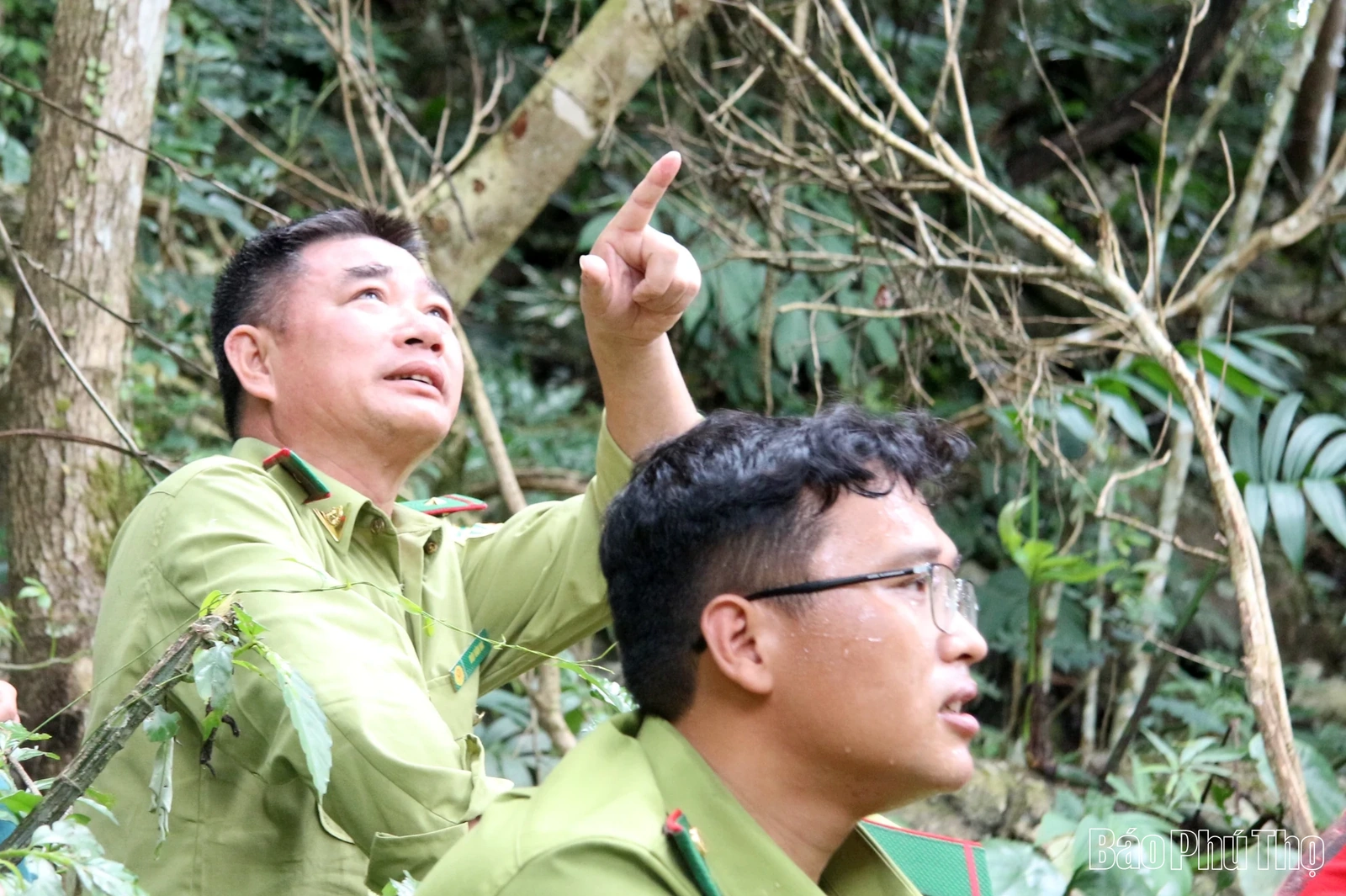 “Linh khí” nghìn năm giữa đại ngàn Bo Trẳm