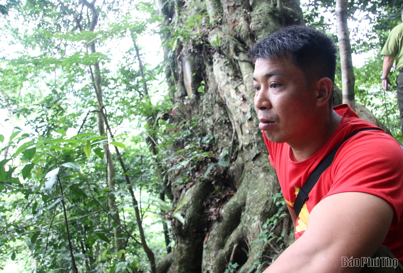 “Linh khí” nghìn năm giữa đại ngàn Bo Trẳm