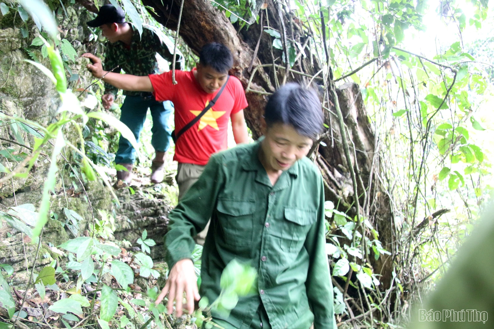 “Linh khí” nghìn năm giữa đại ngàn Bo Trẳm