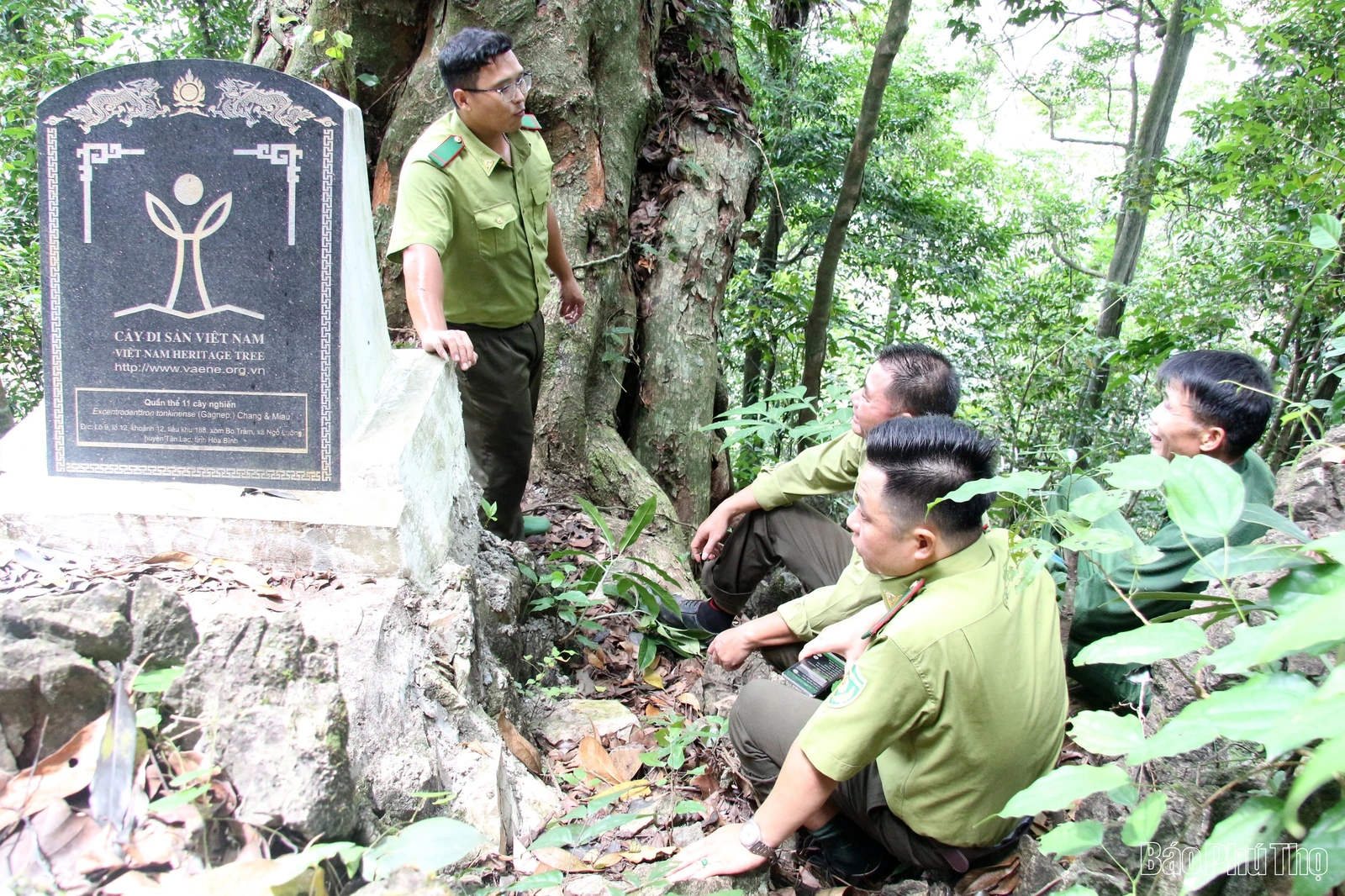 “Linh khí” nghìn năm giữa đại ngàn Bo Trẳm