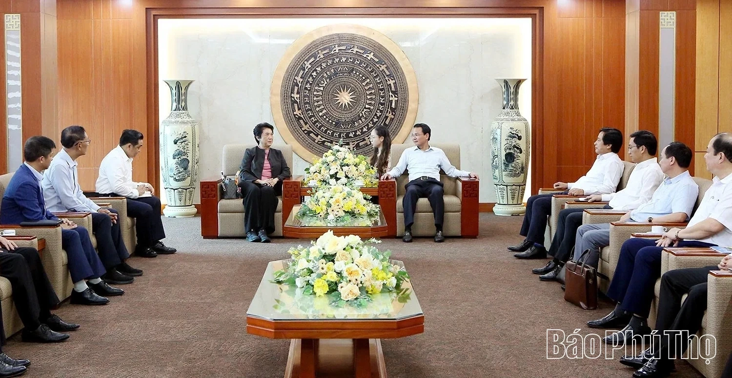 Secretary of the Provincial Party Committee Dang Xuan Phong Receives CEO of Amata (Thailand)