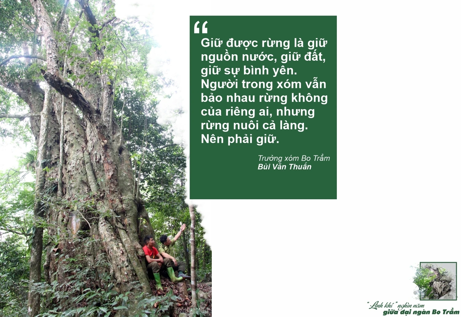 “Linh khí” nghìn năm giữa đại ngàn Bo Trẳm