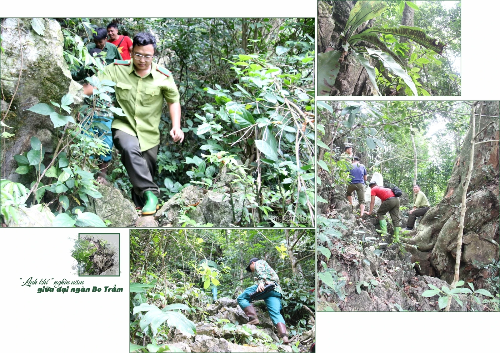 “Linh khí” nghìn năm giữa đại ngàn Bo Trẳm