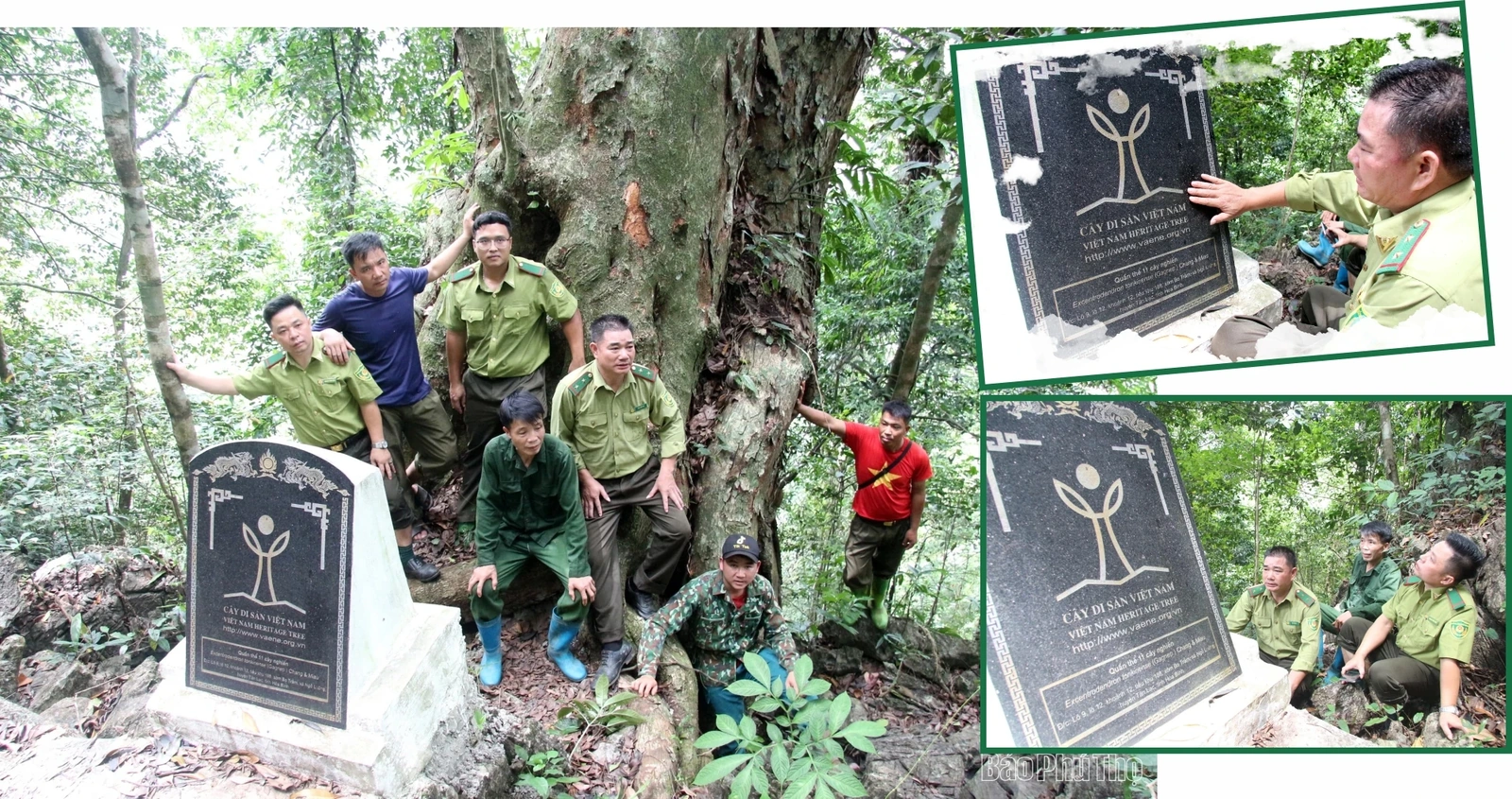 “Linh khí” nghìn năm giữa đại ngàn Bo Trẳm