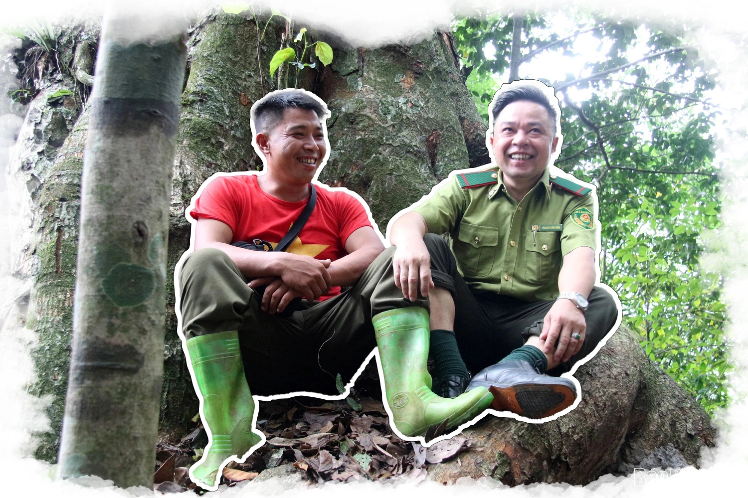 “Linh khí” nghìn năm giữa đại ngàn Bo Trẳm