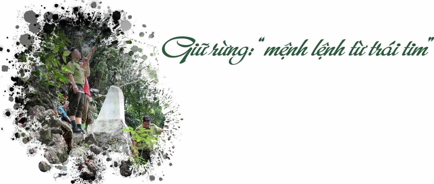 “Linh khí” nghìn năm giữa đại ngàn Bo Trẳm