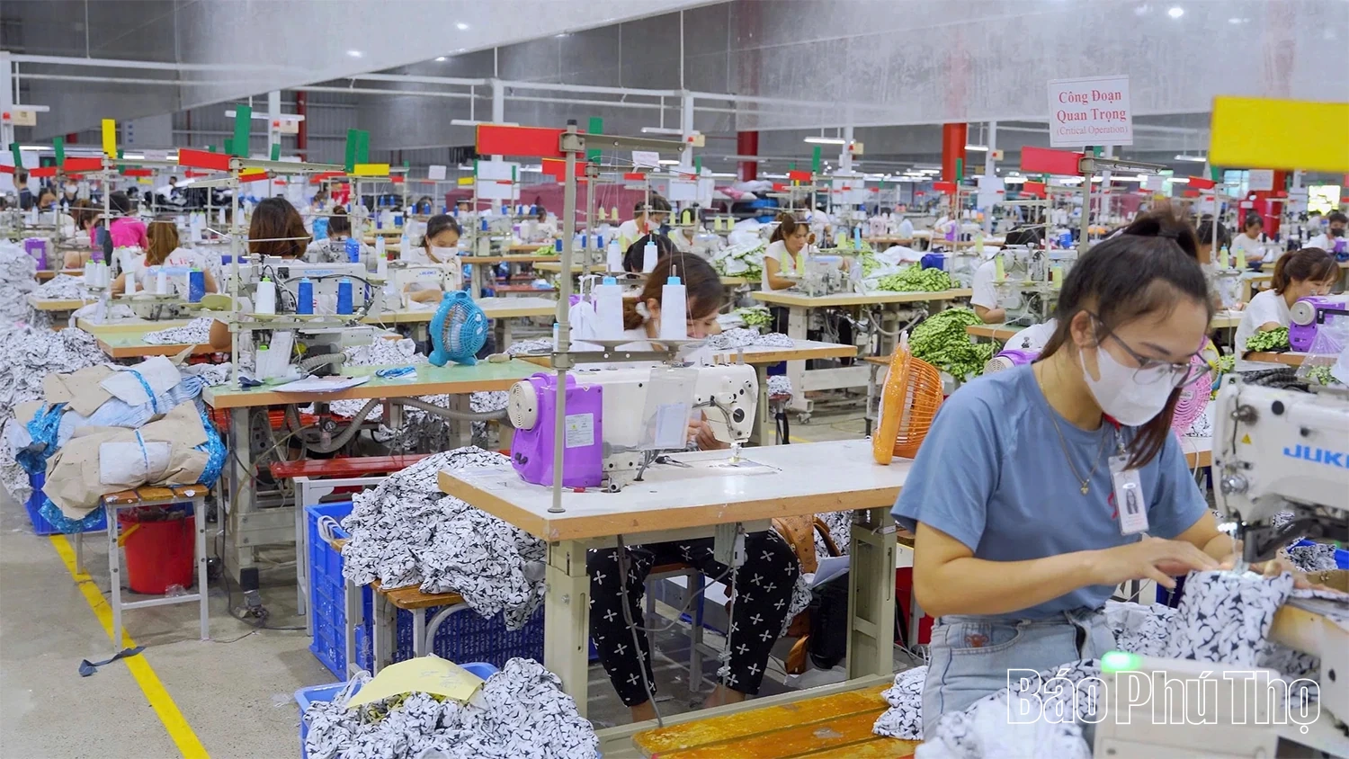 Sức vươn ở vùng đất khó Yên Thủy