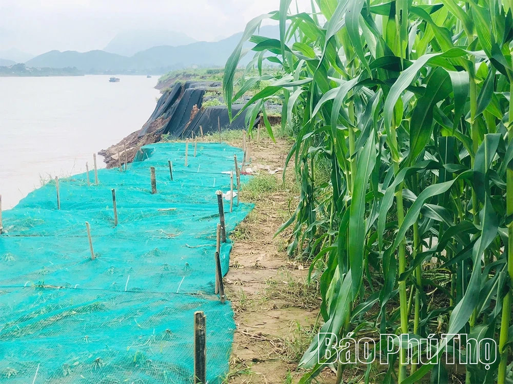 Sạt lở tại xã Tu Vũ đang diễn biến phức tạp