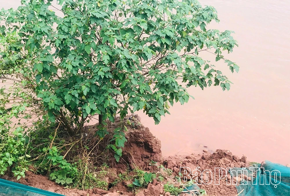 Sạt lở tại xã Tu Vũ đang diễn biến phức tạp