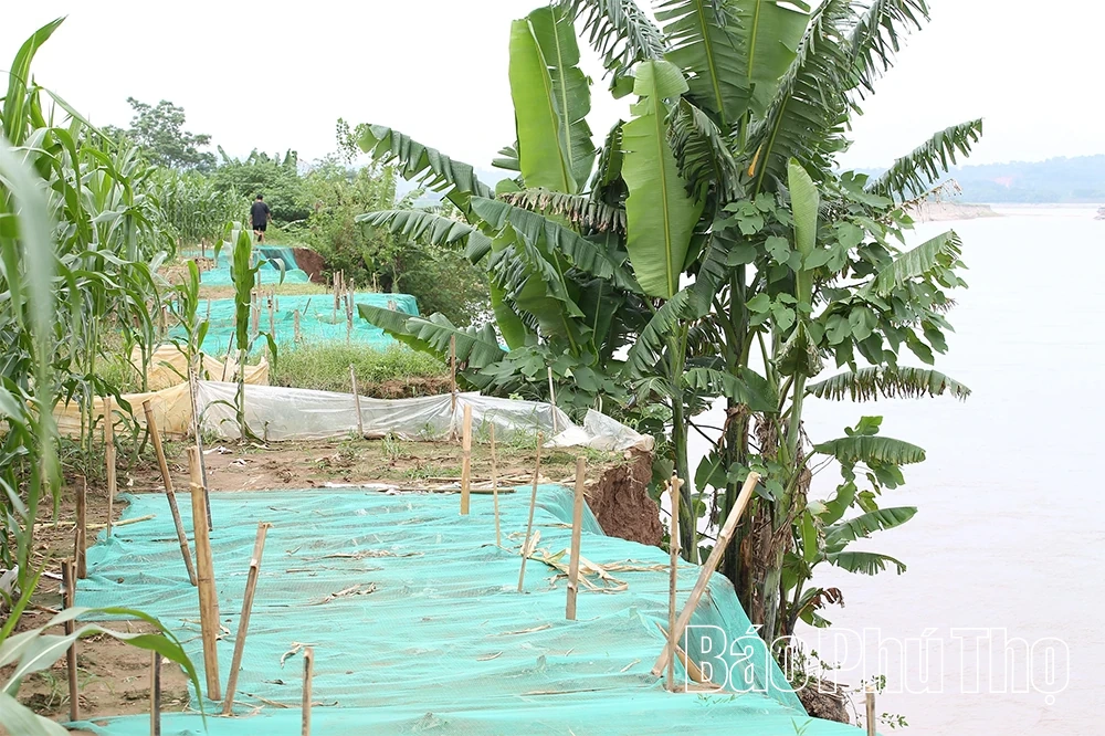 Sạt lở tại xã Tu Vũ đang diễn biến phức tạp