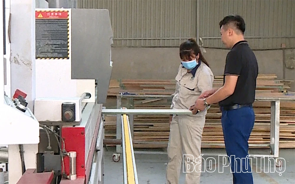 Hành trình khởi nghiệp của Đinh Tiến Cương