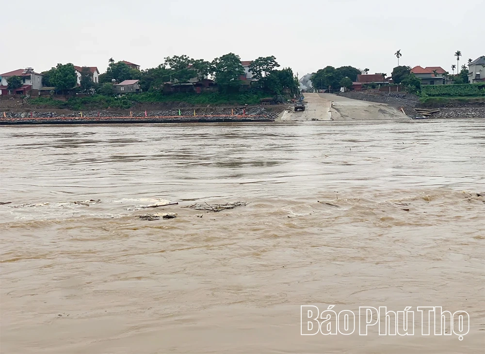Cắt cầu phao Phong Châu do mưa lớn kéo dài