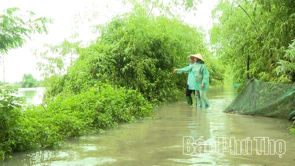 Đề phòng “bão” trong “bão”: Bài học từ lũ lụt tại Hoàng An