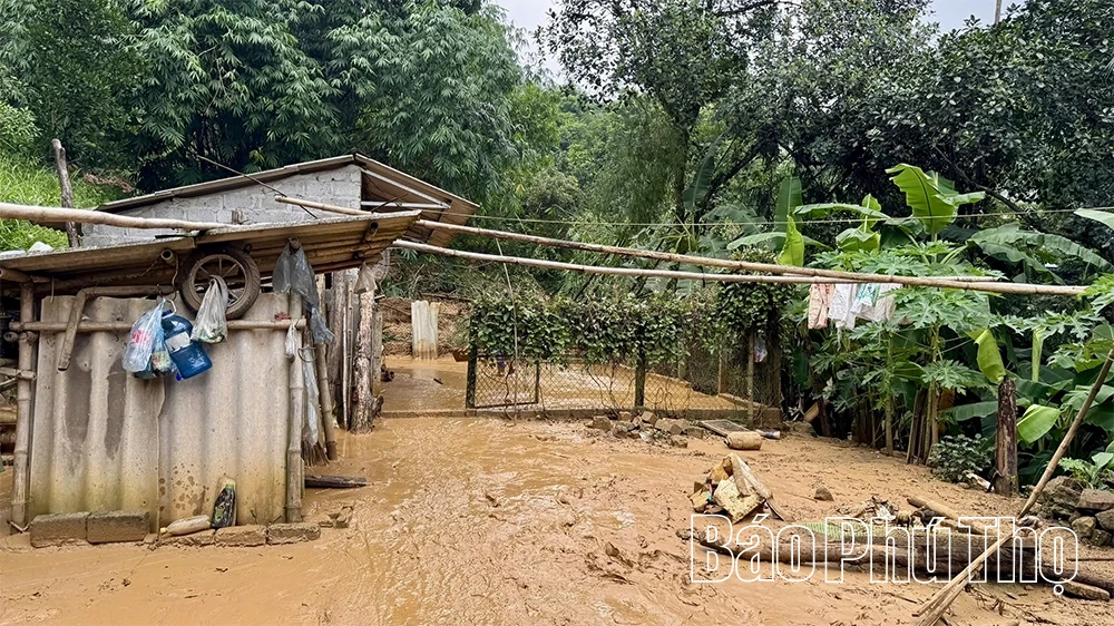 Chính quyền chủ động, người dân bình an