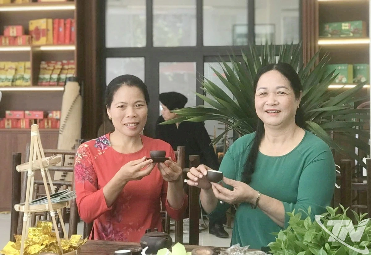 Khát vọng xanh giữa đồi chè Phú Thịnh