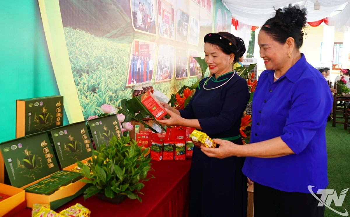 Khát vọng xanh giữa đồi chè Phú Thịnh