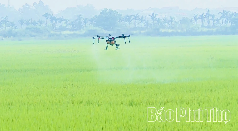 Cơ giới hóa trong sản xuất nông nghiệp ở Phú Thọ