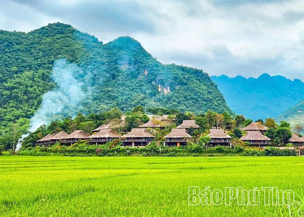 Nỗ lực đưa “viên ngọc xanh” miền sơn cước tỏa sáng