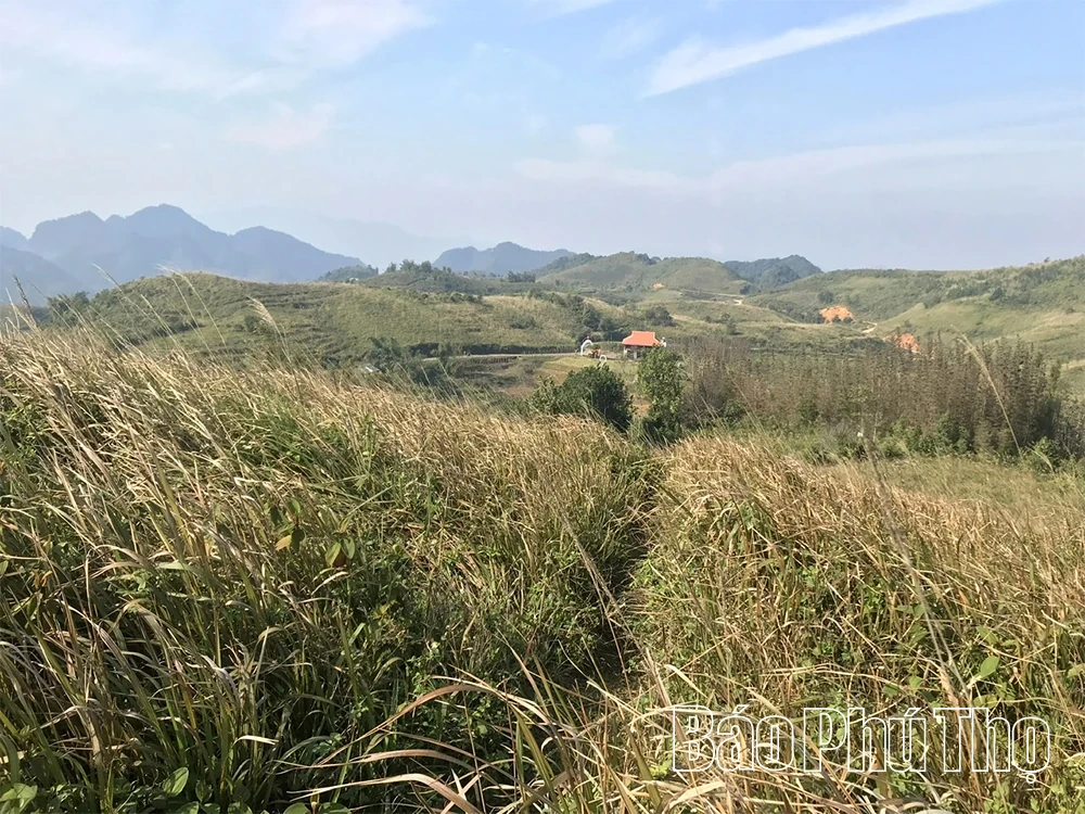 Nỗ lực đưa “viên ngọc xanh” miền sơn cước tỏa sáng