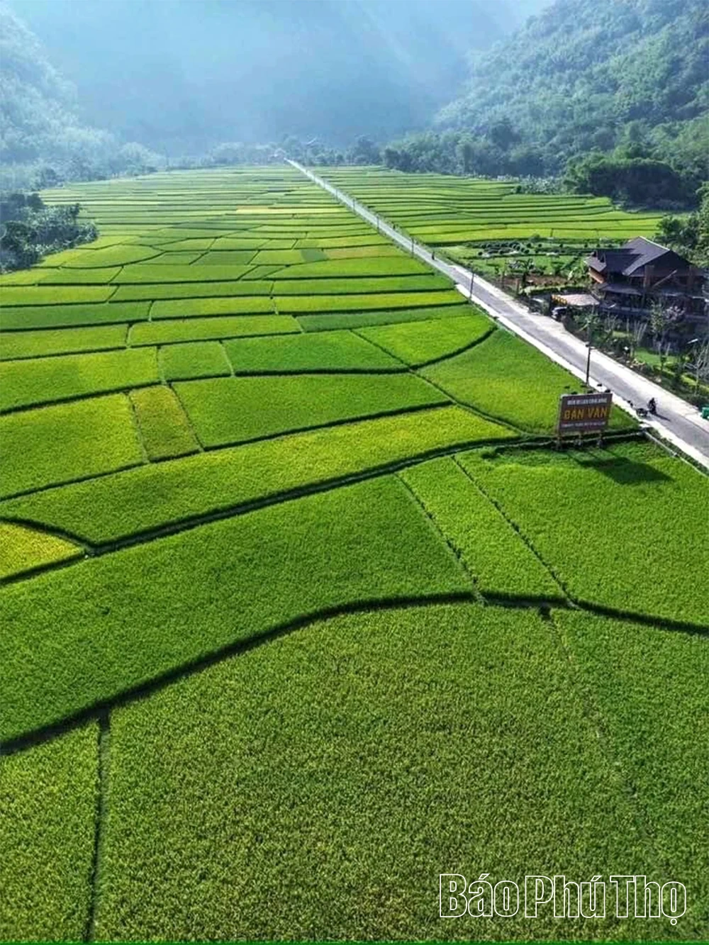 Nỗ lực đưa “viên ngọc xanh” miền sơn cước tỏa sáng