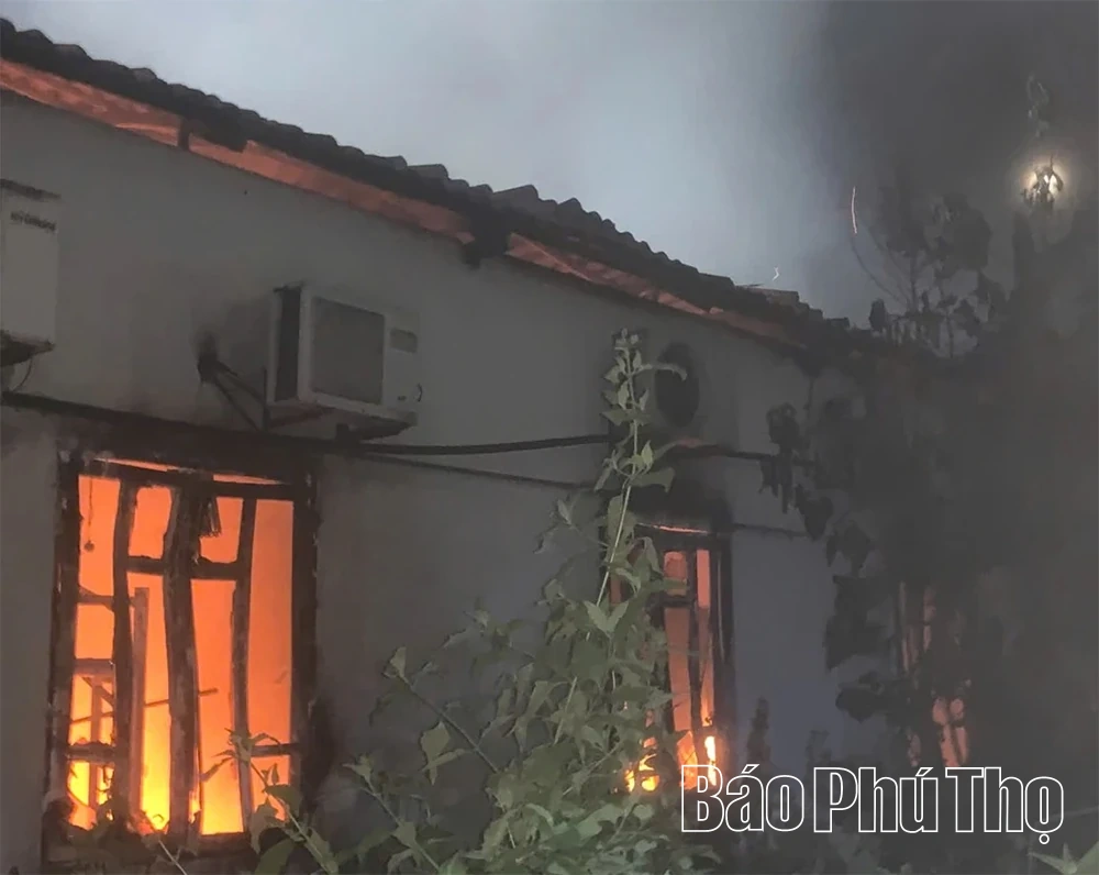 Kịp thời dập tắt đám cháy tại Khu du lịch Vườn Vua, xã Tu Vũ