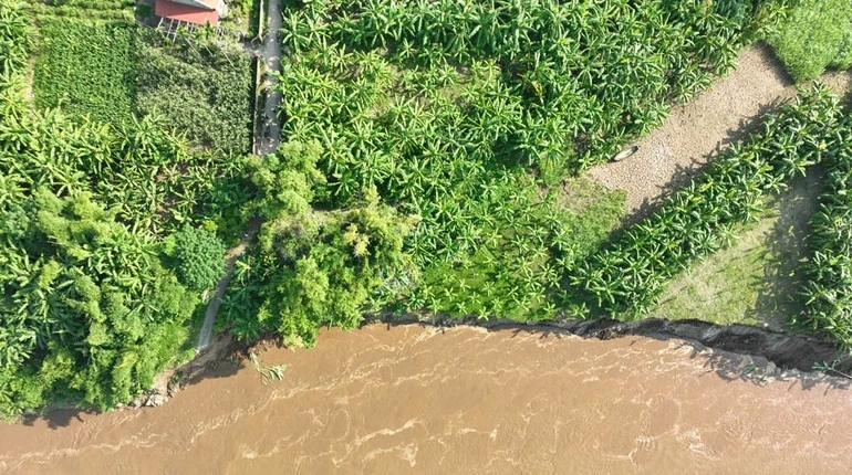 Phó Chủ tịch UBND tỉnh Đinh Công Sứ kiểm tra tình hình sạt lở đê Hữu Thao