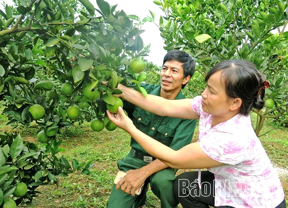 Ngành Nông nghiệp góp sức vào mục tiêu tăng trưởng hai con số của tỉnh