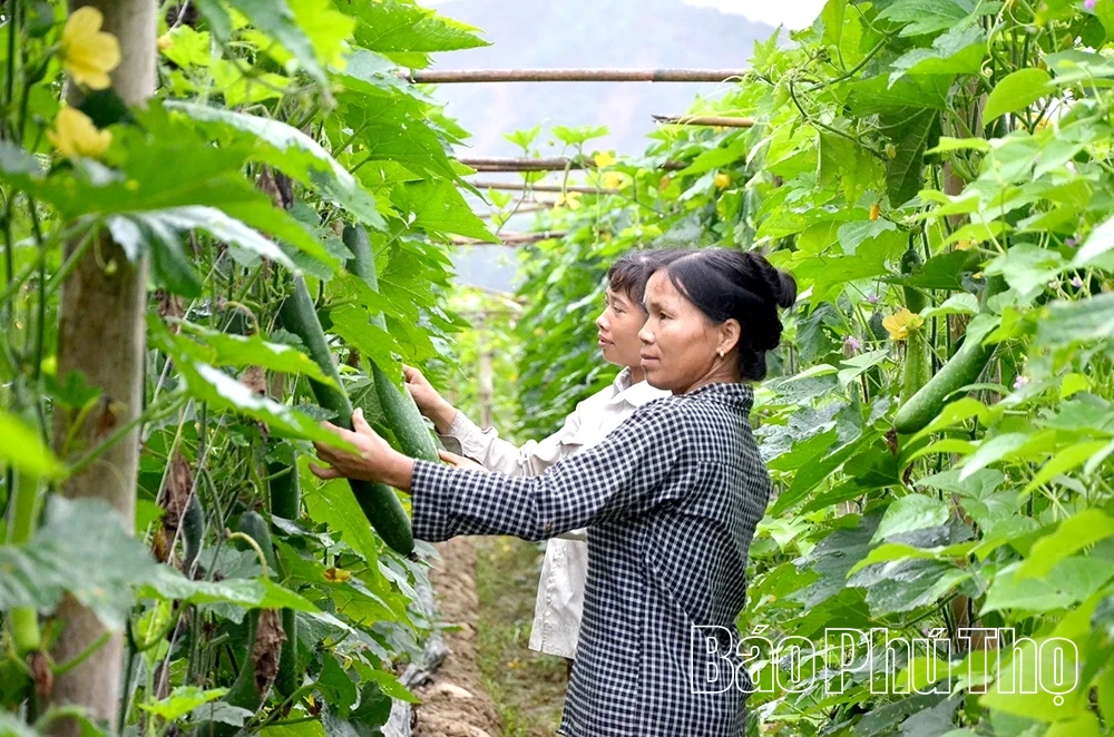 Ngành Nông nghiệp góp sức vào mục tiêu tăng trưởng hai con số của tỉnh