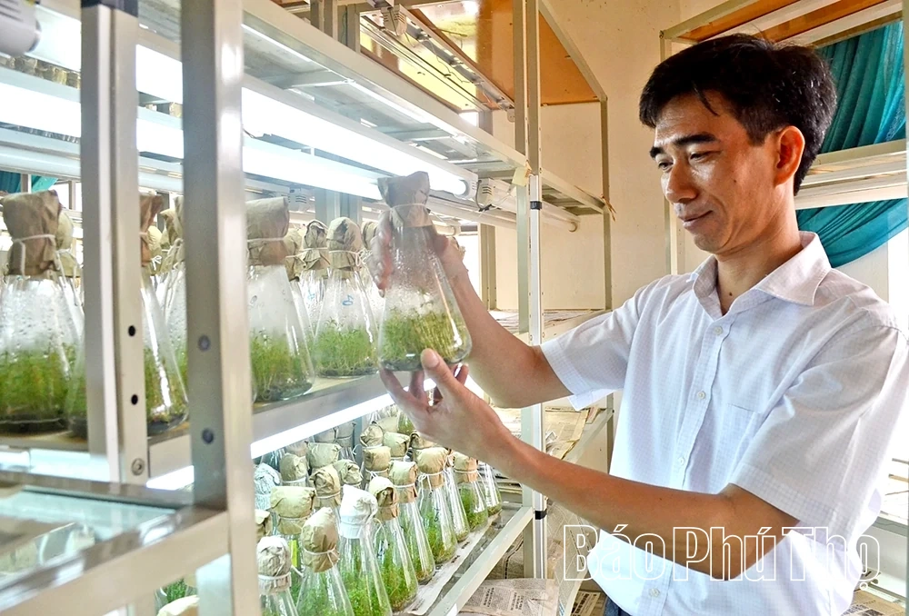 Ngành Nông nghiệp góp sức vào mục tiêu tăng trưởng hai con số của tỉnh